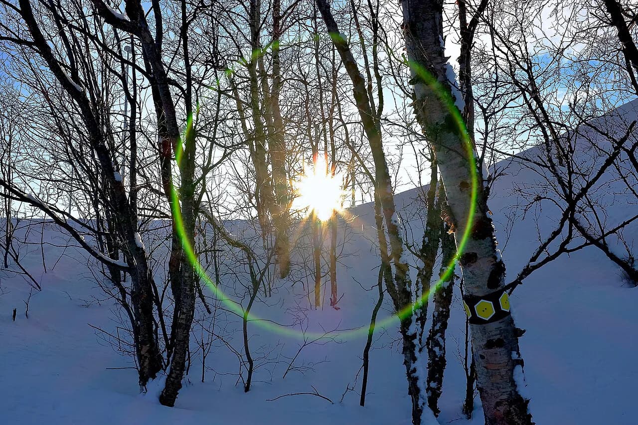 Abisko Aurora Forecast: Reading the Data Night by Night