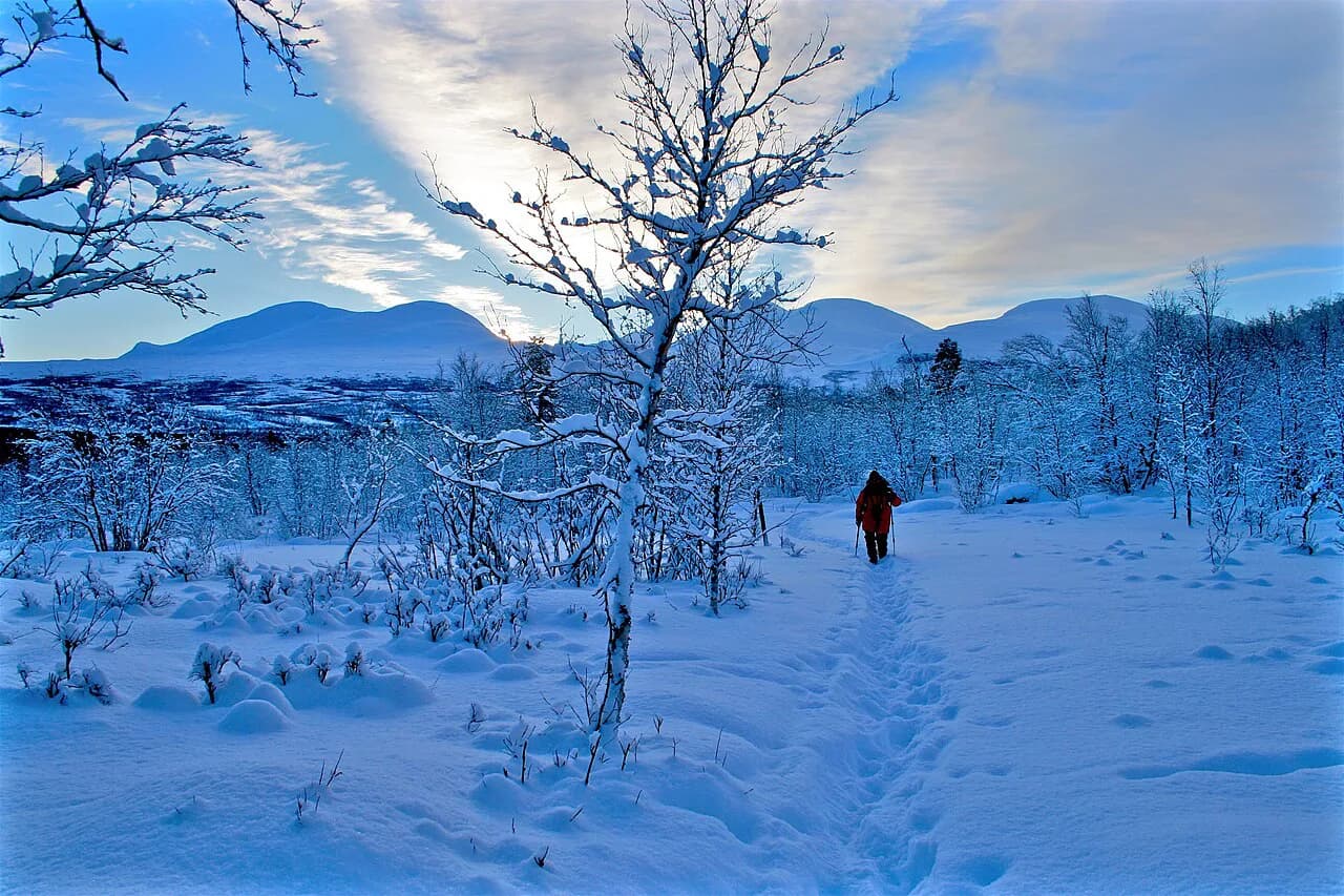 Abisko in January: Polar Night, Auroras & Winter Tours