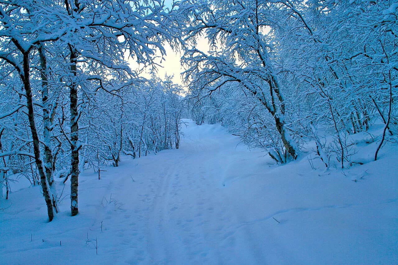 Abisko in Winter: Pick Your Arctic Base & Aurora Nights