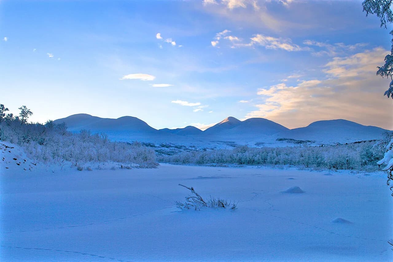 Abisko Mountain Lodge: Rooms, Sauna and Aurora Access