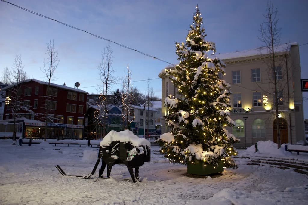 Akureyri Northern Lights Tours: How to Choose a Night Chase