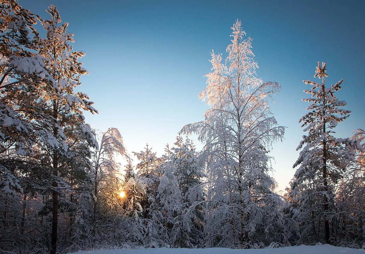Christmas in Luleå: A Swedish Lapland Winter Trip Guide