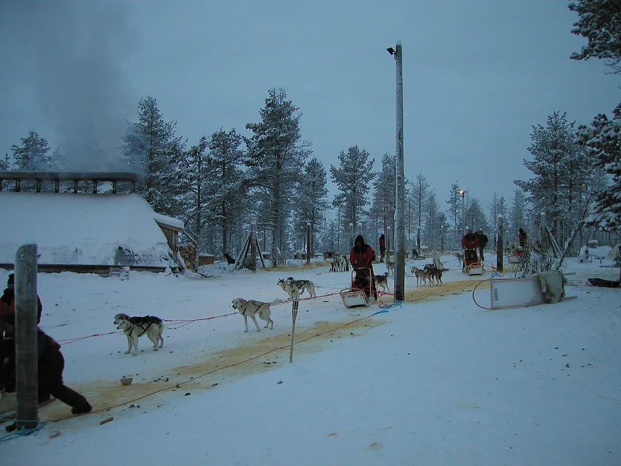 Finnish Lapland Husky Safari: How to Pick a Kennel and Tour