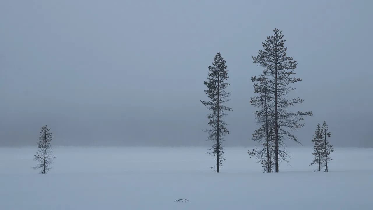 Ice Fishing in Finnish Lapland: Guided Winter Trips