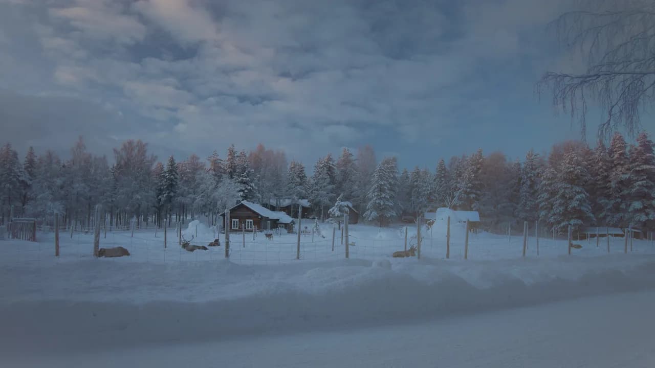 Lapland in December: Daylight, Snow and Aurora Nights