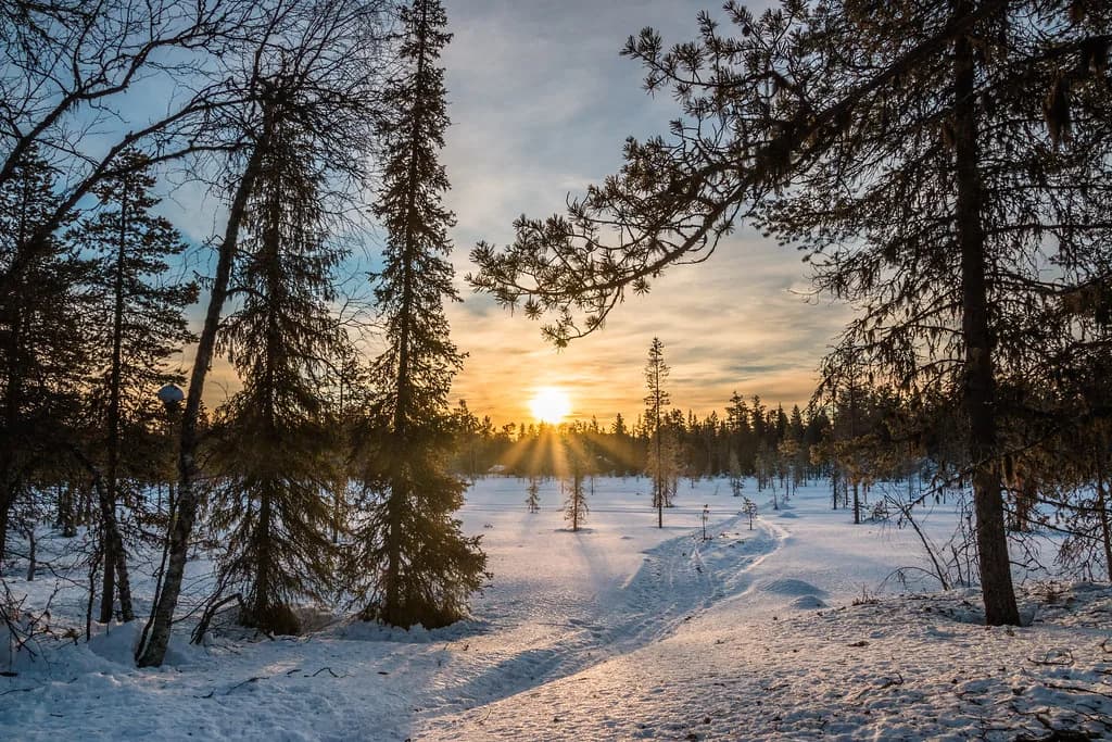 Lapland in March: Snow, Daylight and Aurora Chances