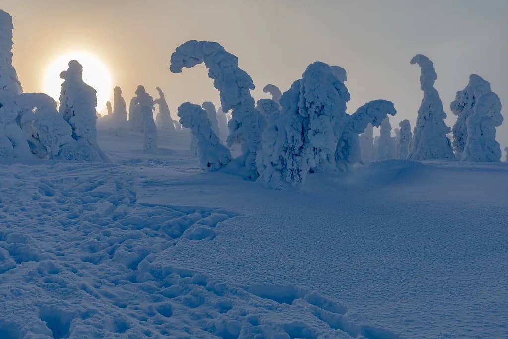 Lapland in October: Weather, Snow, Daylight and Aurora Chances