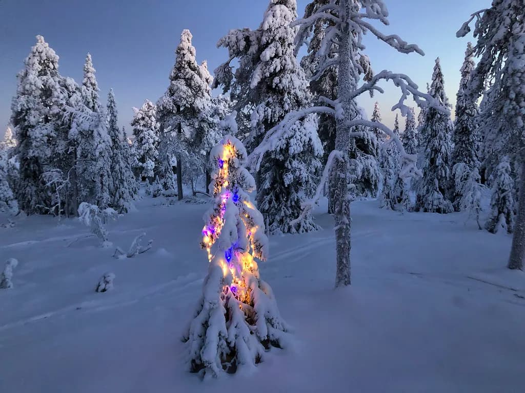 Lapland in September: Autumn Colours, Dark Nights and the Aurora
