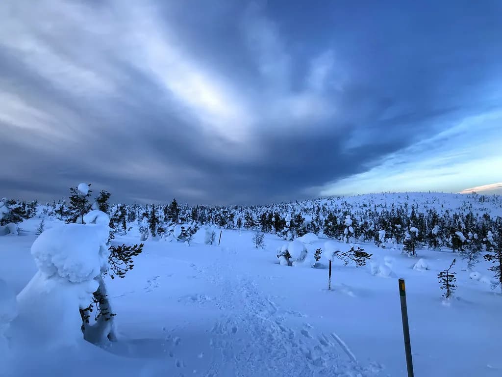 Finnish Lapland in Winter: When to Go & How to Plan