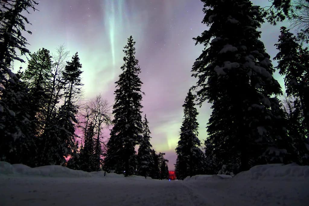 Finnish Lapland Northern Lights Tours: How to Choose