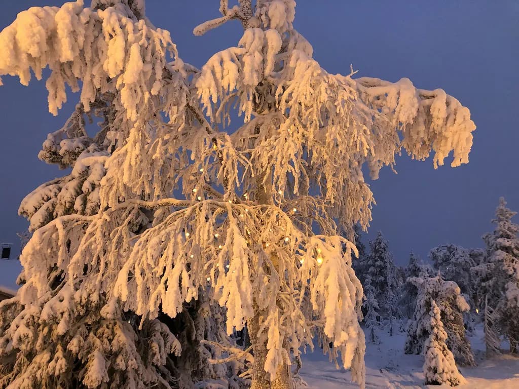 Snowshoeing in Finnish Lapland: Which Trip Is Right for You?