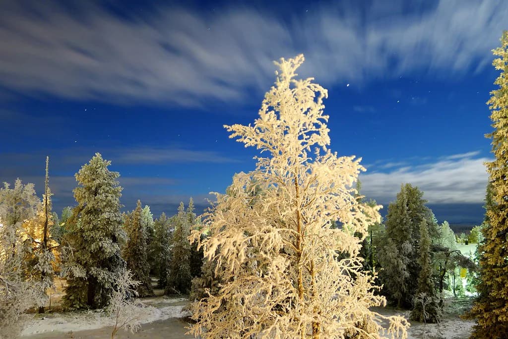 How Cold Is Lapland in Winter: Finnish Lapland Guide
