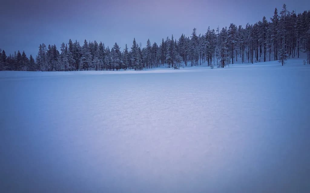 Ice Floating in Finnish Lapland: Tours and Season Guide