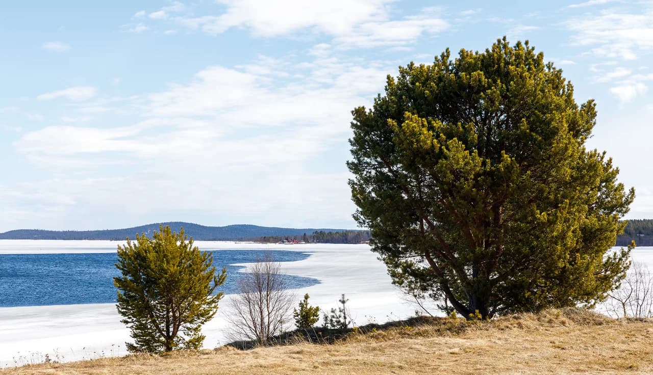 Ice Fishing in Inari: Tours, Timing and Lake Inari Ice