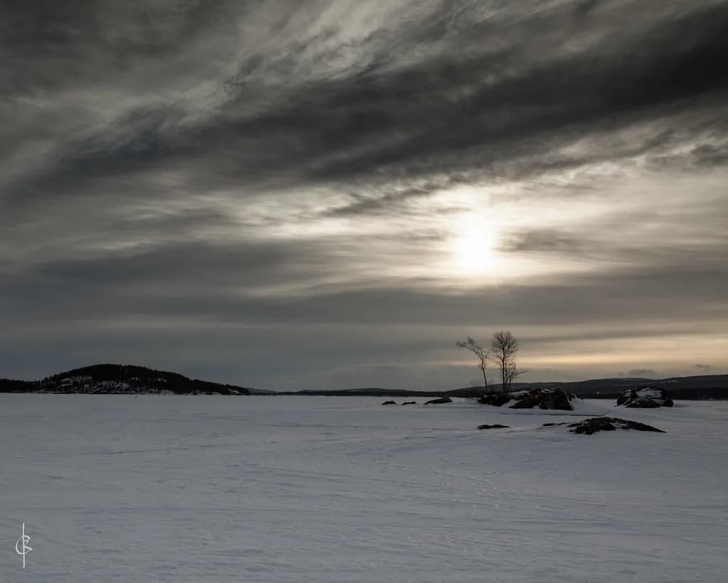 Inari Northern Lights Tours: Boat, Sleigh and Cabin Options