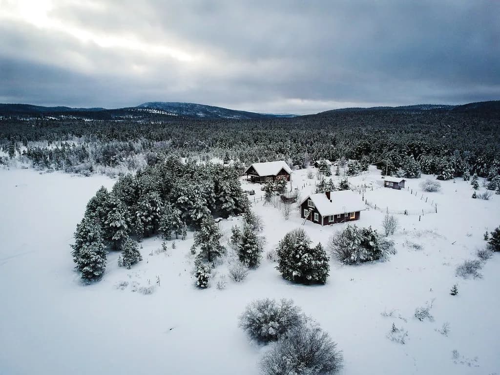 Inari Reindeer Safari: Farm Visits and Sleigh Rides