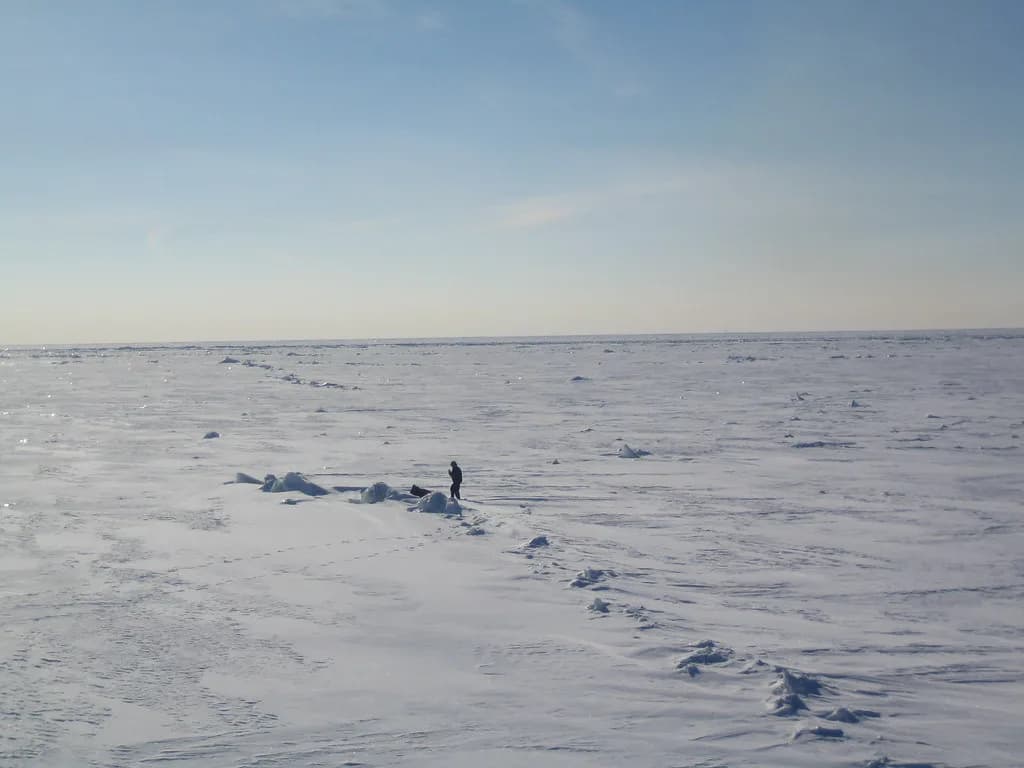 Kemi Northern Lights Tours: How to Choose a Night Chase