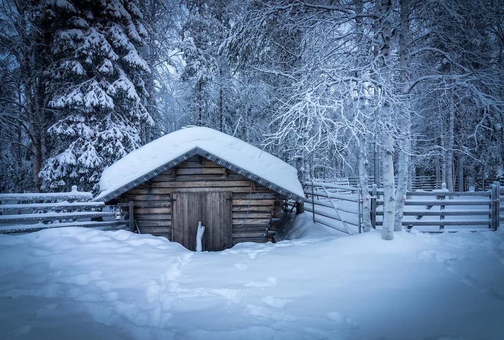 Lapland Christmas Markets: What Rovaniemi Actually Offers
