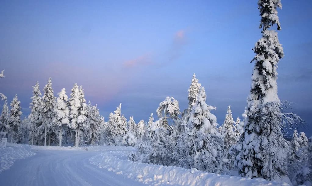 Levi in December: Polar Night, Snow and Aurora Chances
