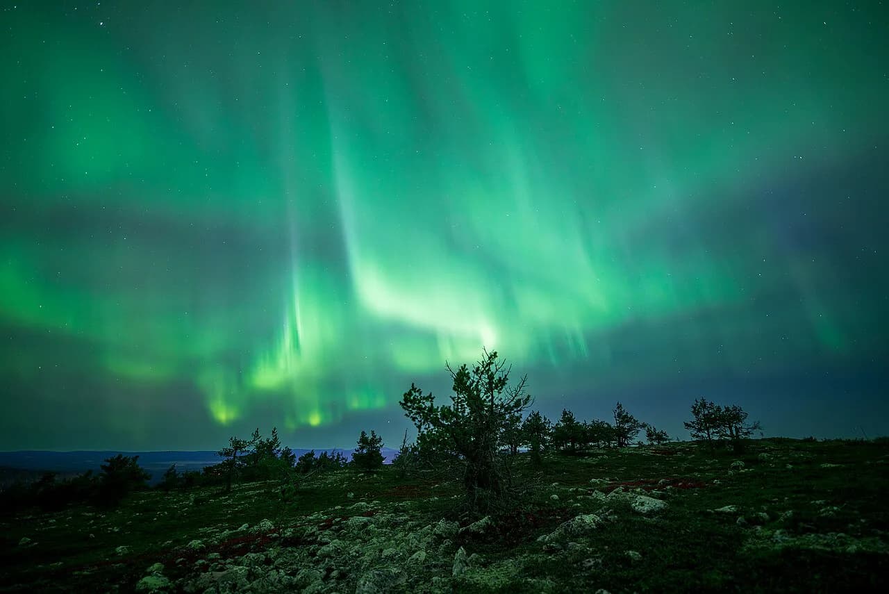 Levi Northern Lights Tours: How to Choose an Aurora Night