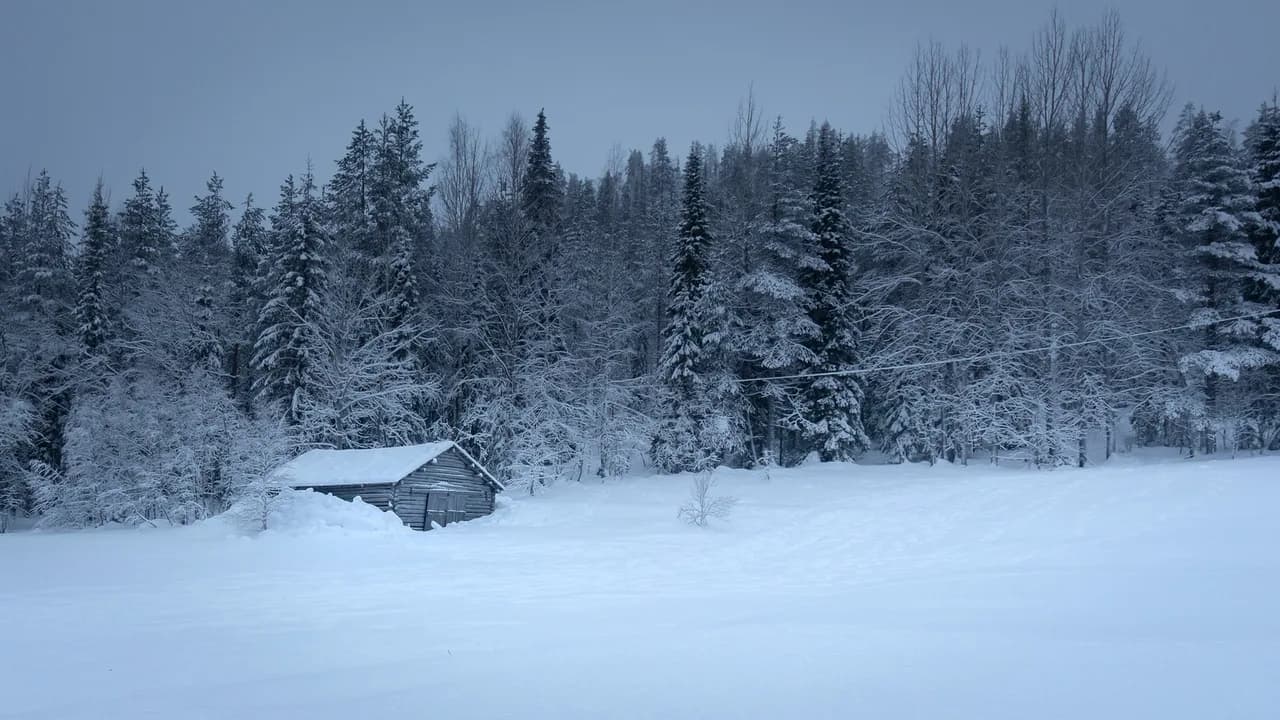 Polar Night in Levi: Dates, Daylight and Aurora Chances