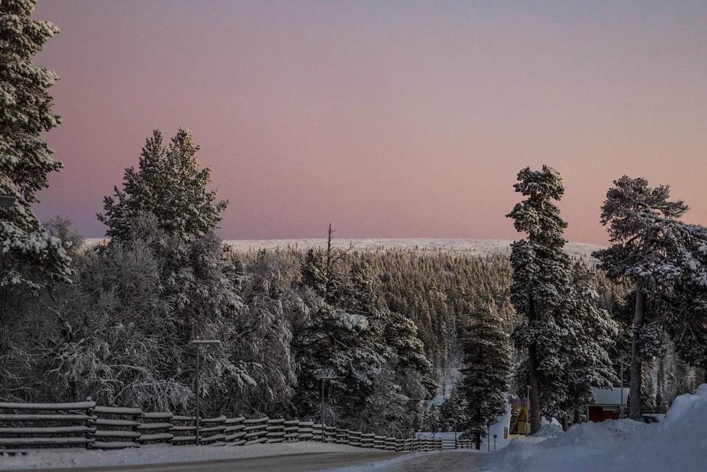 Levi vs Saariselkä: Which Lapland Resort to Choose