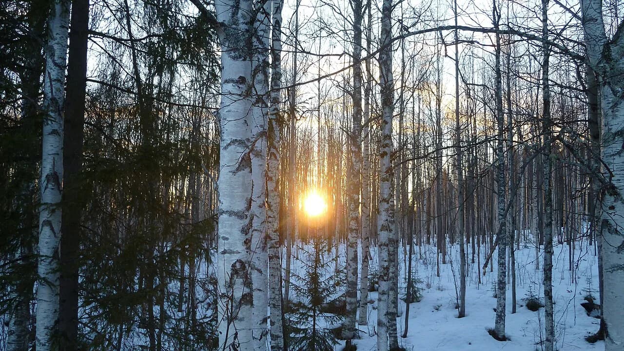 Luleå Northern Lights Tours: How to Choose Your Trip