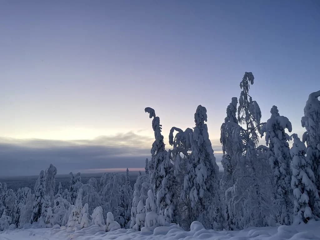 Glass Igloos in Luosto: Aurora Stays in Finnish Lapland