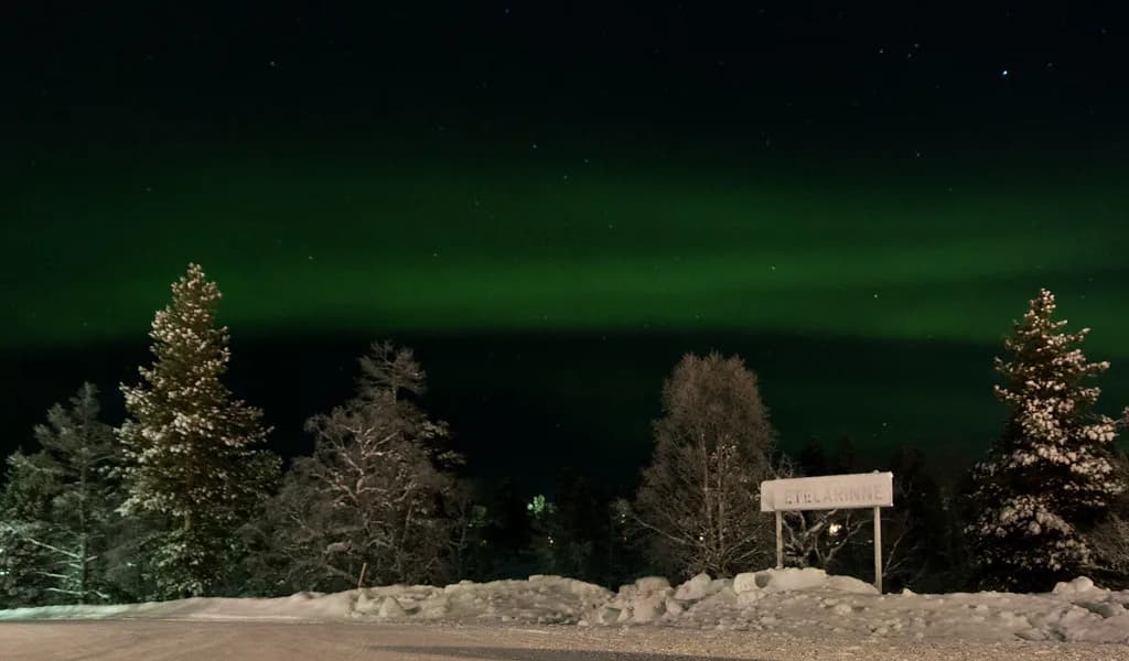 Wilderness Hotel Muotka: Rooms, Aurora Cabins and Tours