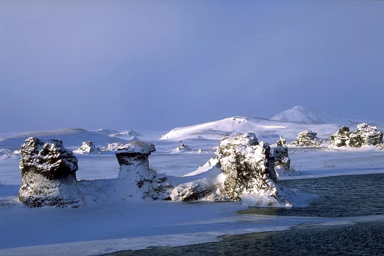 Mývatn Husky Safari: Dog Sledding and Cart Tours by the Lake