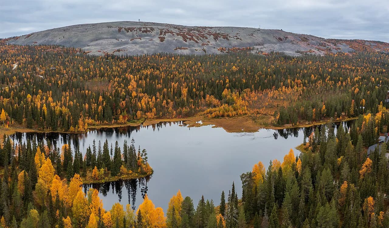 Pyhä-Luosto National Park: Luosto Winter Guide