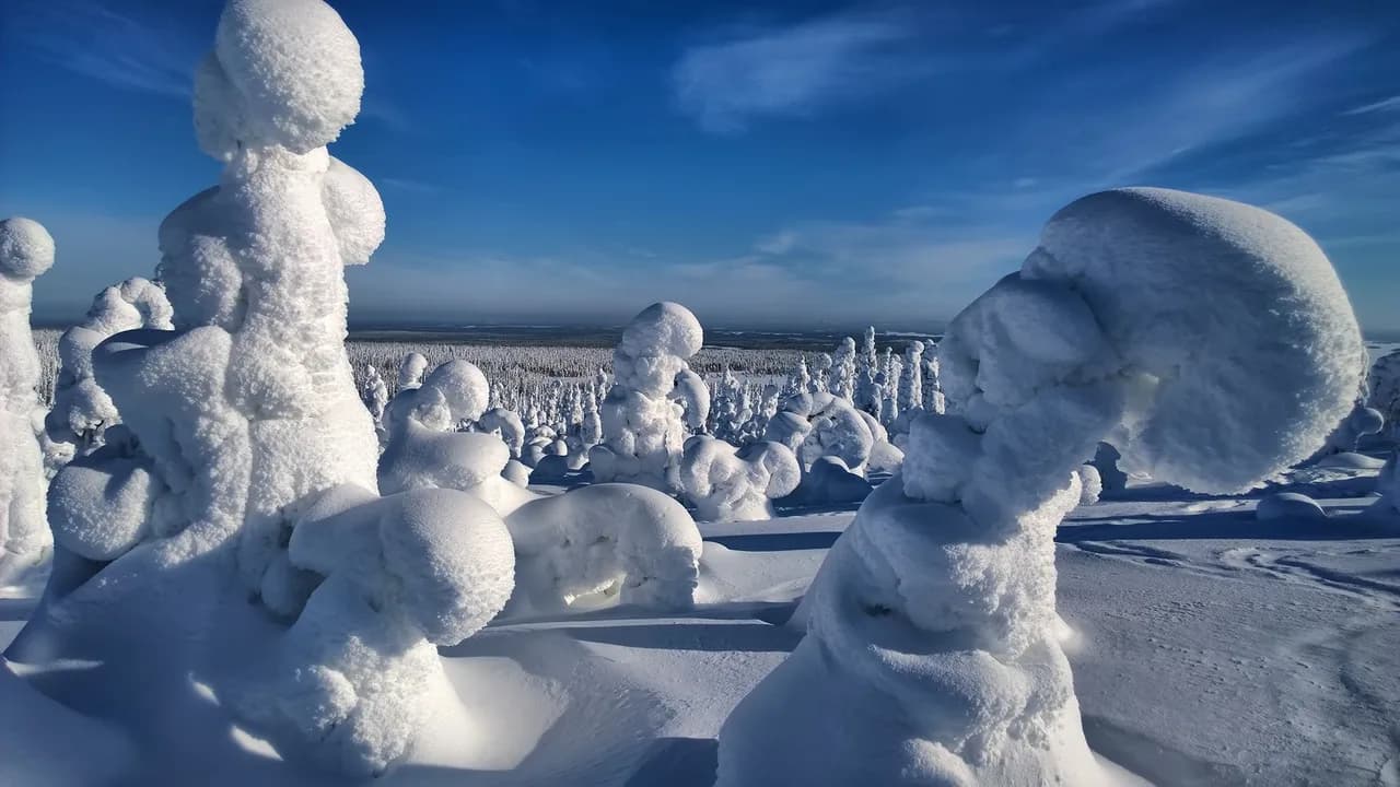 Riisitunturi National Park: Winter Guide for Ruka Visitors