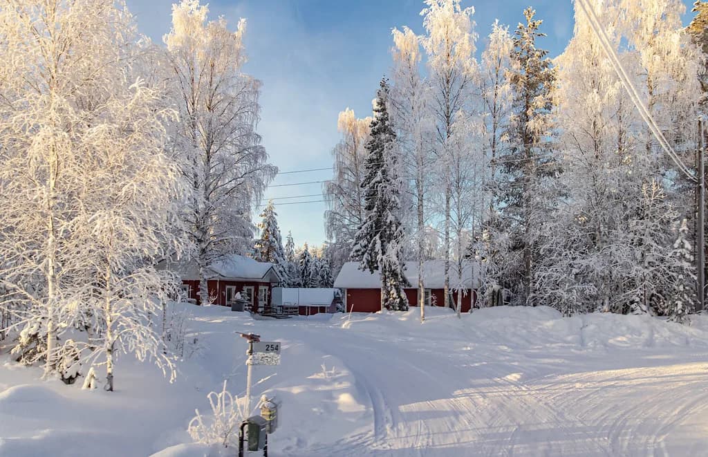 Rovaniemi in January: Winter Trip Guide