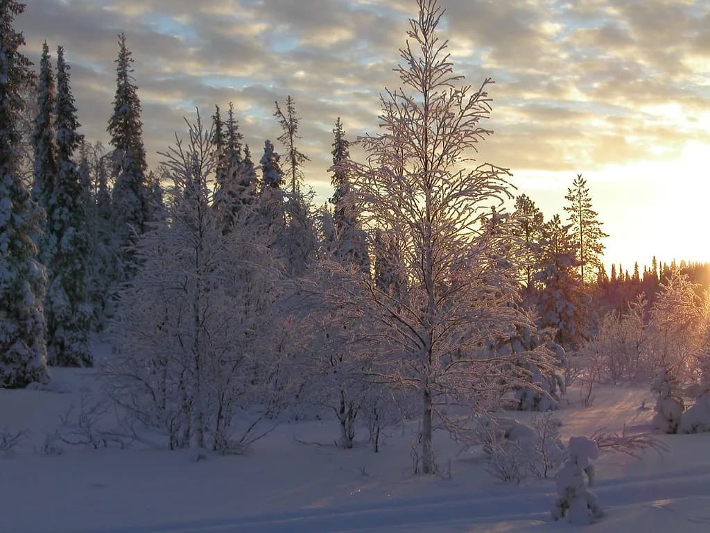 Glass Igloos in Ruka: Aurora Cabins and Igloo Stays