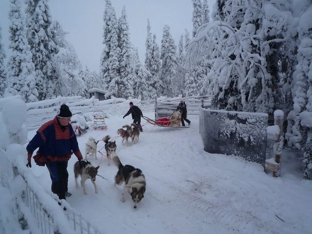 Ruka Husky Safari: Sled Rides, Operators and What to Expect