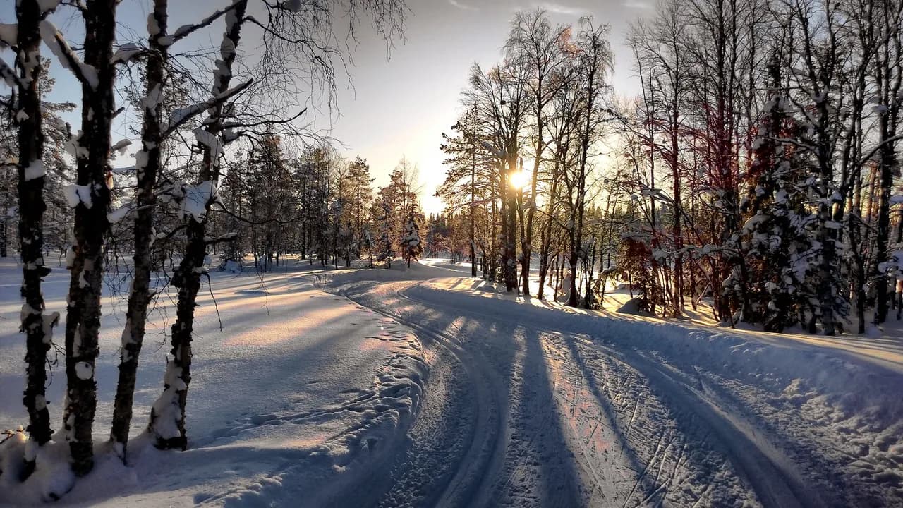 Ice Fishing in Ruka: How Guided Trips Work and When to Go