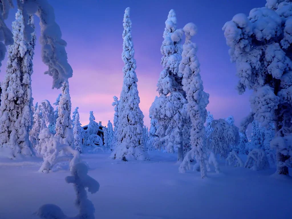 Polar Night in Ruka: Kaamos Light, Skiing and Aurora Nights
