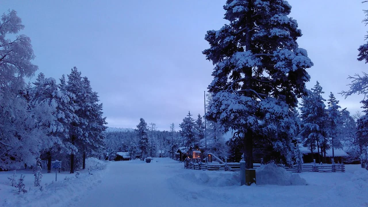 Saariselkä Husky Safari: Lengths, Prices and How to Book