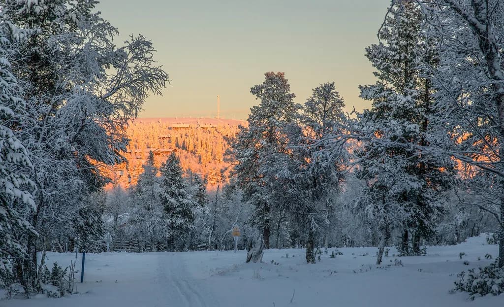 Saariselkä in December: Polar Night, Aurora and Winter Tours