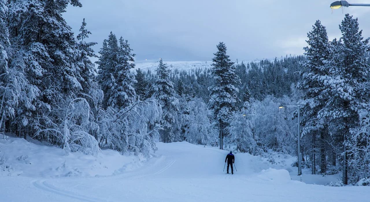 Saariselkä in November: Snow, Short Days & Aurora Nights