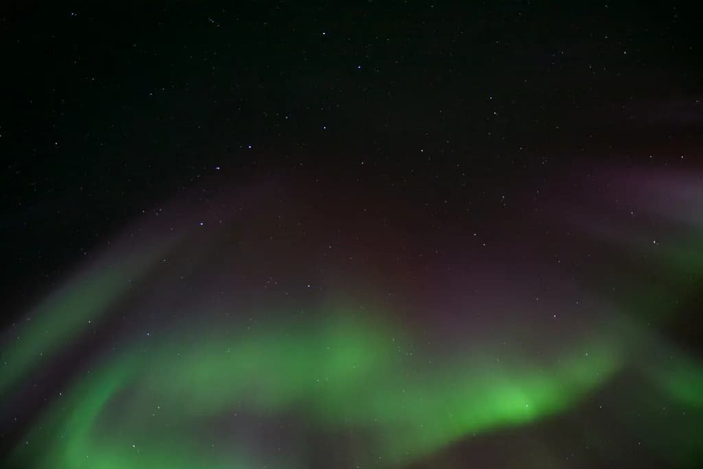 Saariselkä Northern Lights Tours: How to Choose One