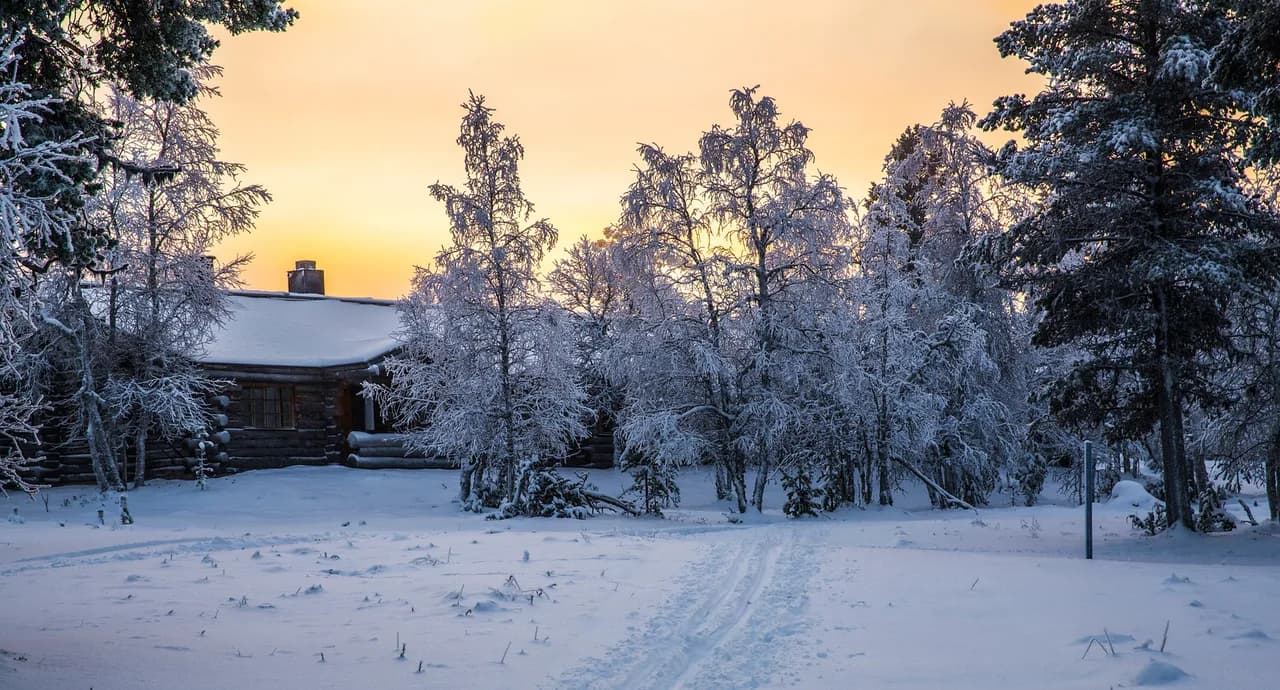 Polar Night in Saariselkä: What to Expect & Do