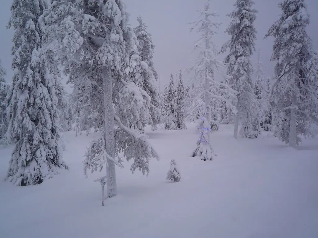 Santa Claus Express: Finland's Night Train to Lapland