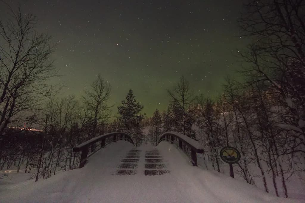 Star Arctic Hotel Saariselkä: Which Aurora Cabin to Book