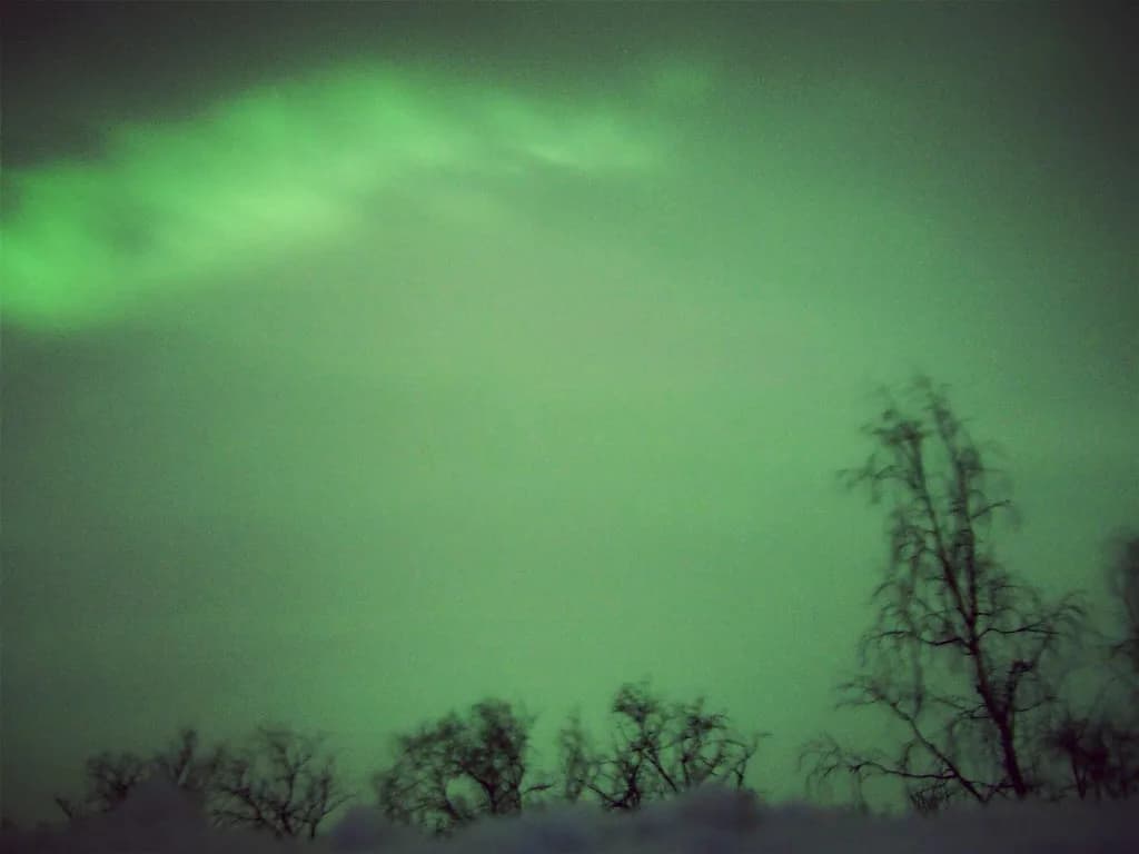 Polar Night in Swedish Lapland: What to Expect