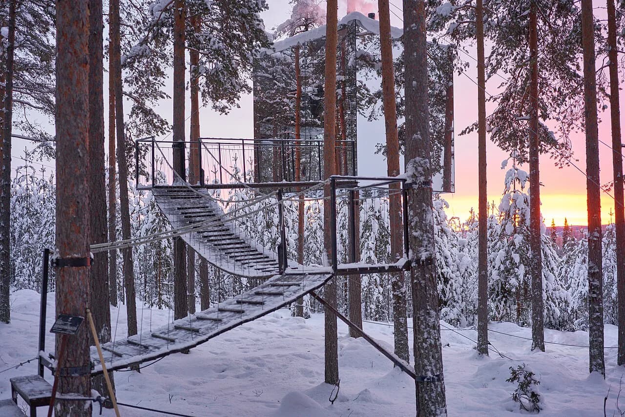 Treehotel Luleå: Which Room to Book for Aurora Nights