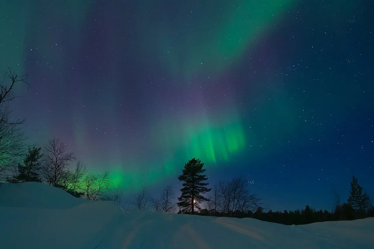 Urho Kekkonen National Park in Winter: Aurora Base Near Saariselkä