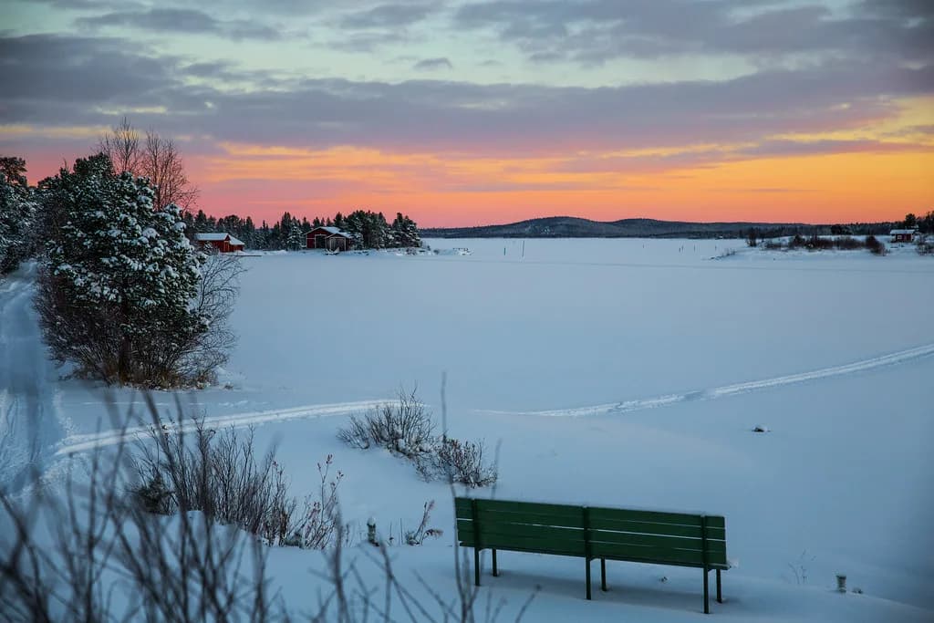 Wilderness Hotel Inari: Rooms and Aurora Cabin Guide