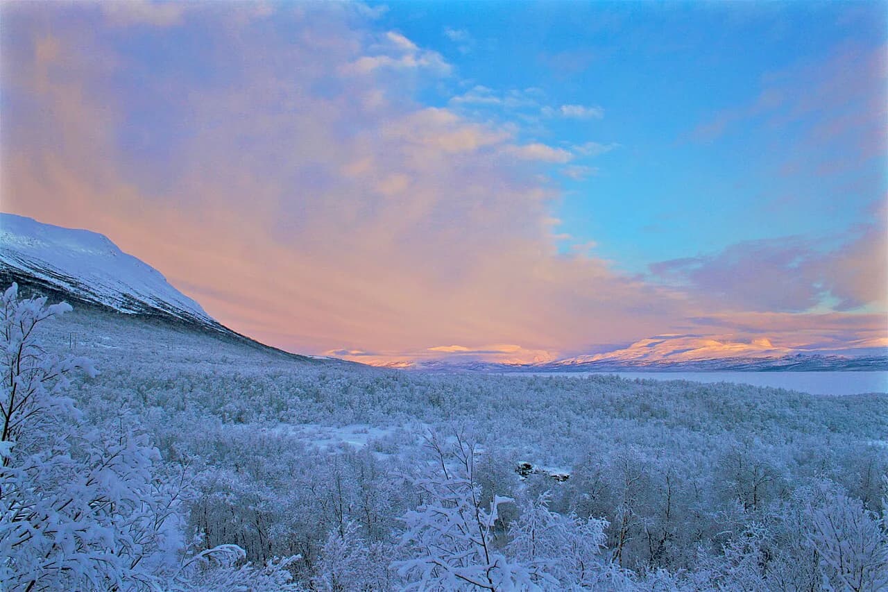 Abisko Northern Lights Tours: Chase, Sky Station or Photo