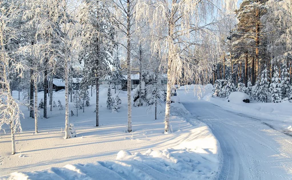 Reindeer Farm Rovaniemi: Which Visit or Sleigh Ride to Pick